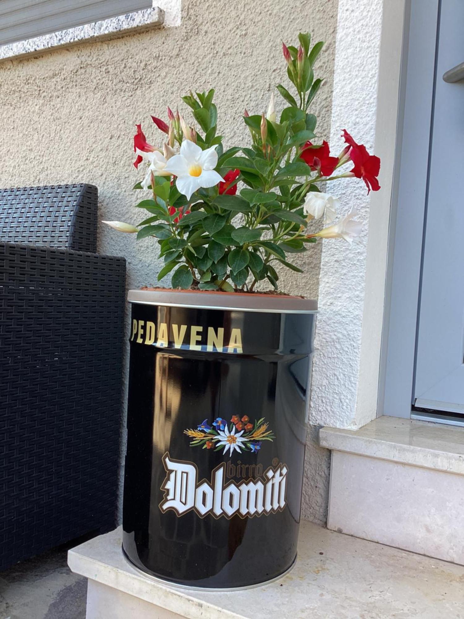 La Stella Delle Dolomiti Apartment Pedavena Luaran gambar